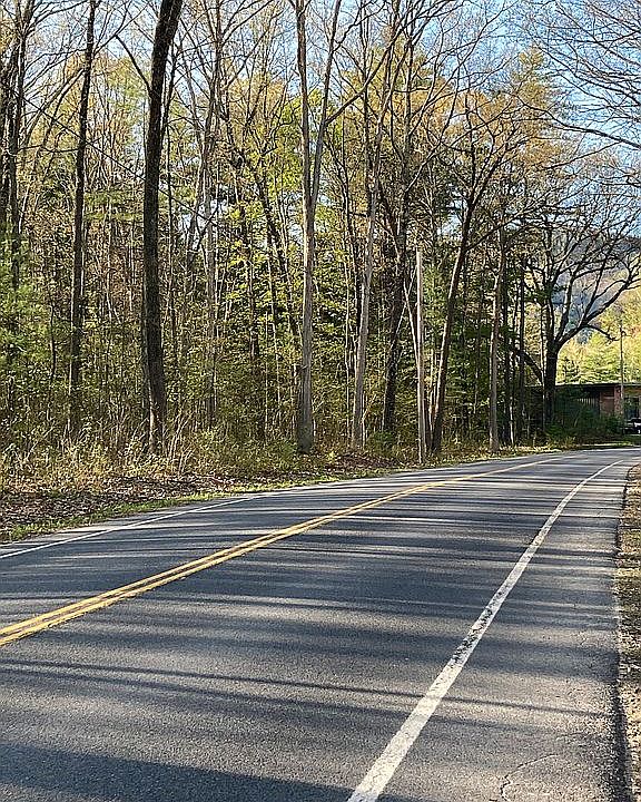 View from Glen Lake Rd