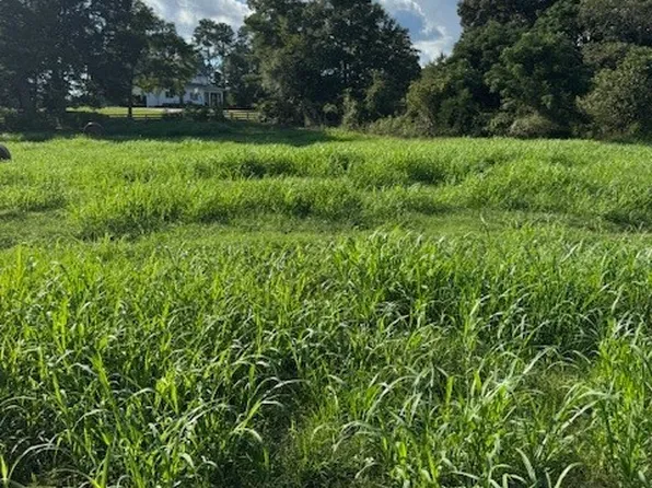 0 Rita Ridge LOT 10, Jefferson, GA 30549