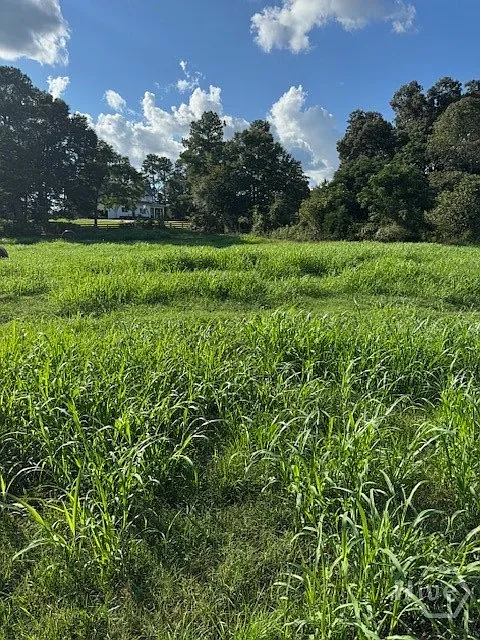 0 Rita Ridge LOT 10 photo 1