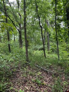 002-05103-056 Savannah Dr, Mountain Home, AR, 72653