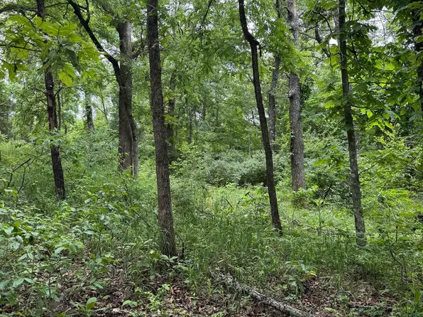 002-05103-056 Savannah Dr, Mountain Home, AR 72653