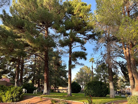 Beautiful green park