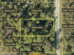 1121 Wells Ave, Lehigh Acres, FL 33972