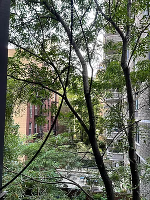 Rented by Douglas Elliman | media 5