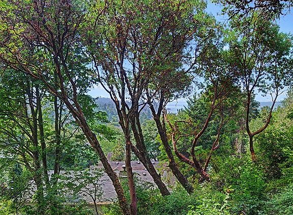 Spectacular "View thru the trees" of South Puget Sound and Mt. R