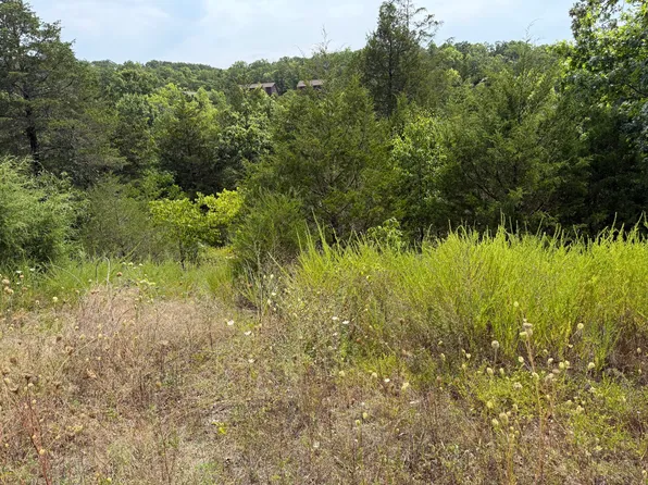 224 Blue Lake Trail, Branson West, MO 65737