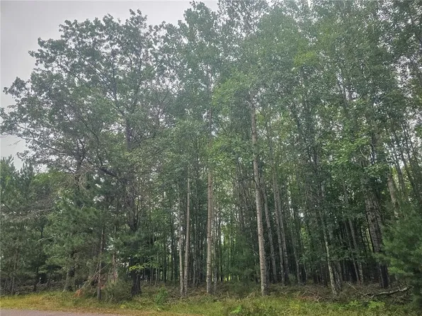 xx Loon Lake Road, Danbury, WI 54830