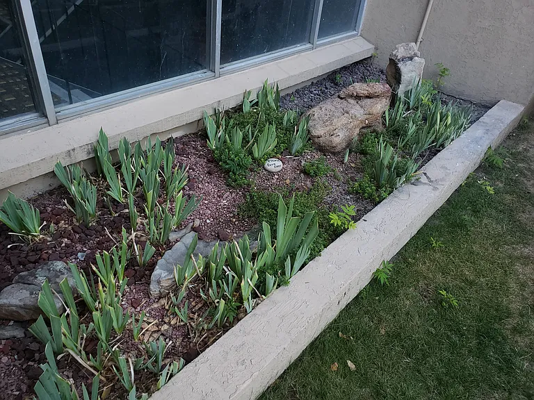 York Gardens — Photo 44