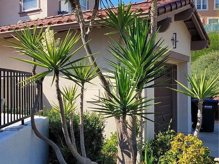 6 Sable Sands — Photo 2