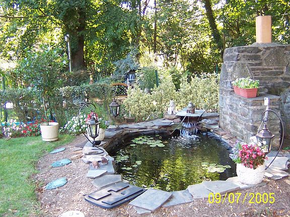 Koi Pond