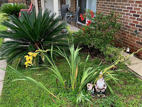 4th image of 870 El Camino Dr