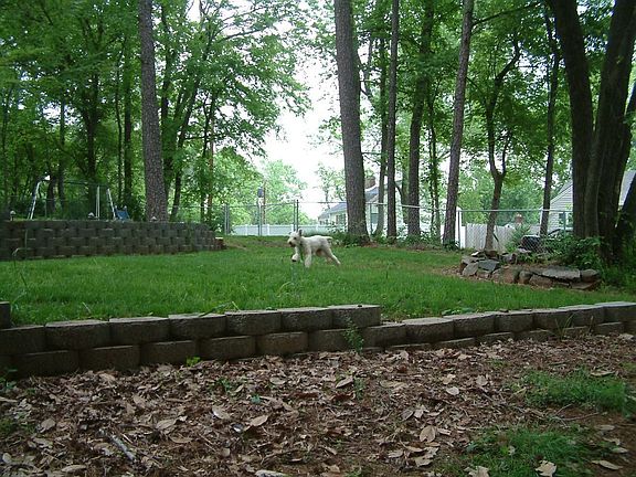 Beautiful Terraced/Fenced Back Yard