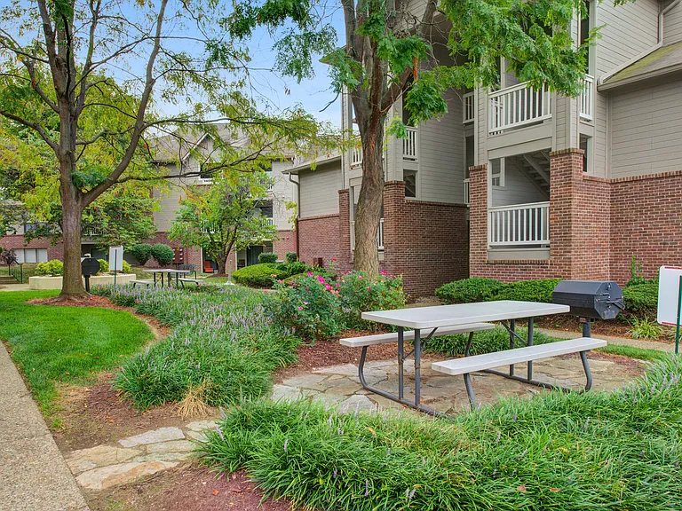 Outdoor Grill and Picnic Area