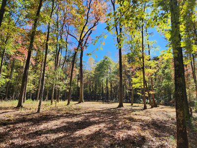 522 Libby Ln, Mentone, AL, 35984