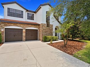 20317 Chestnut Grove Dr, Tampa, FL 33647