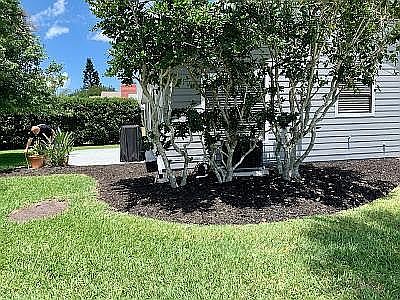 3rd image of 798 Pine Shores Cir