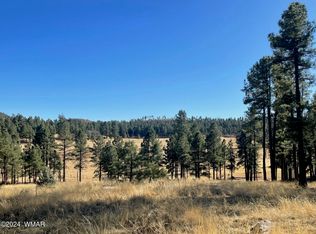 LOT County Road 2147 N, Alpine, AZ 85920