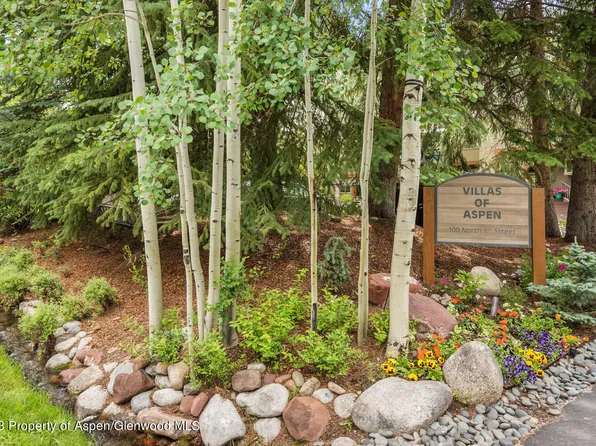 100 N 8th St Unit 10, Aspen, CO 81611