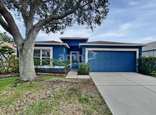 19206 Wood Sage Dr, Tampa, FL 33647