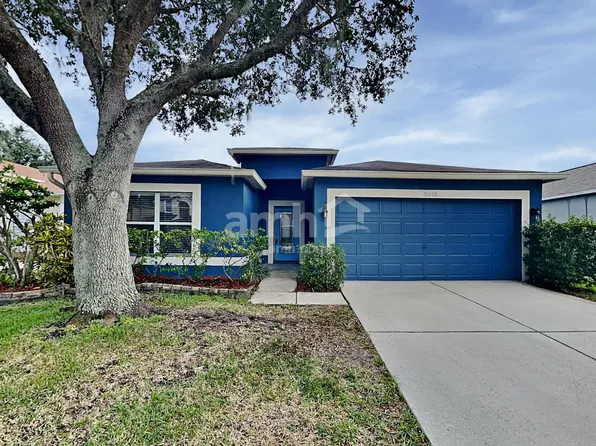 19206 Wood Sage Dr, Tampa, FL 33647