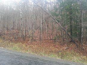 2nd image of 473 Hargrave Rd
