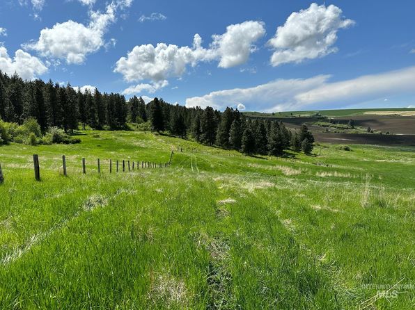 Slickpoo Rd, Culdesac, ID 83524
