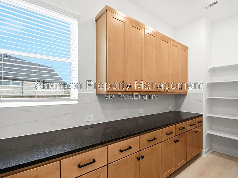 14314 Olive Harbor Trl — Photo 5