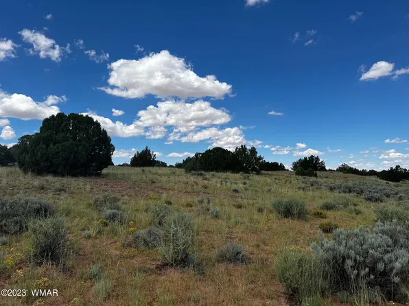 N 9218th, Concho, AZ 85924