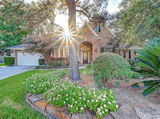 11 Mammoth Springs Ct, Spring, TX 77382