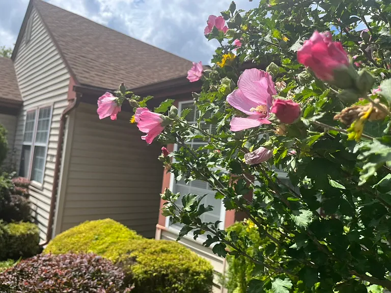 6B John Adams Ct #6B — Photo 30