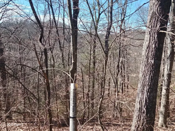 LOT 4 Maggie Mack Ln, Sevierville, TN 37862