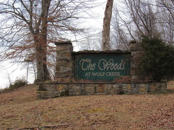 0 Woods At Wolf Crk, Nancy, KY 42544