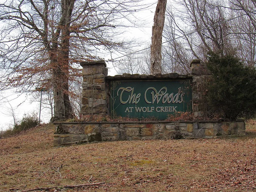 0 Woods At Wolf Crk photo 1