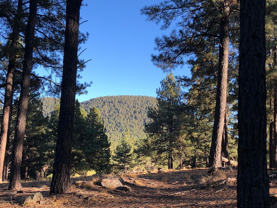 1st image of 0 Coyote Pass Rd -- #B