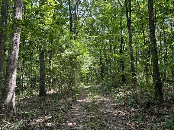 view of easement road into property