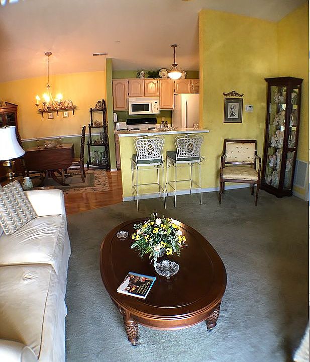 Vaulted Ceilings Living Room