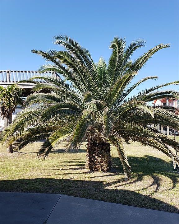 1st image of 847 Trout Blvd Lot 8