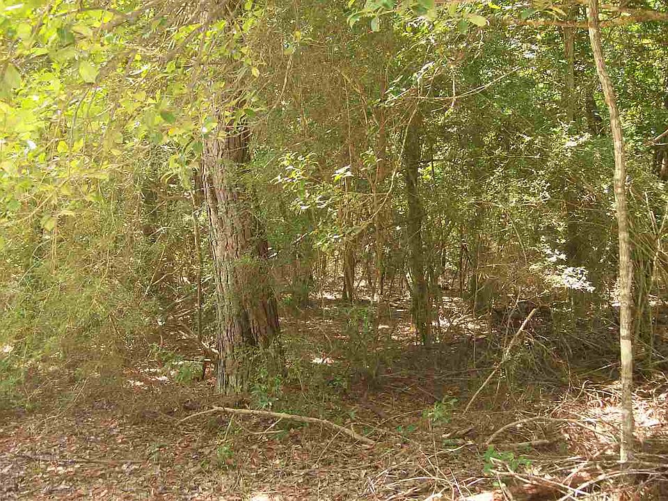 2nd image of 267 Private Road 8018