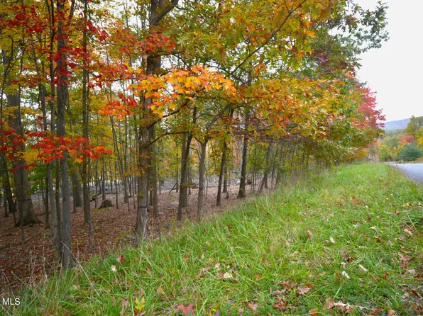 1813 E Clemson Rd, Altoona, PA 16602