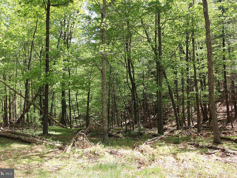 1st image of Tanglewood Ln