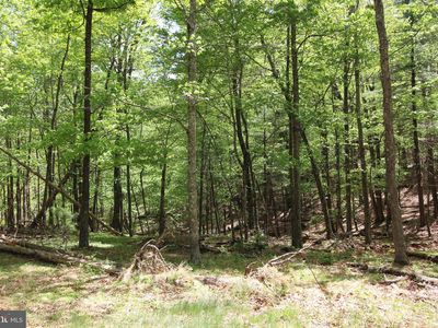 Tanglewood Ln, Orkney Springs, VA, 22845
