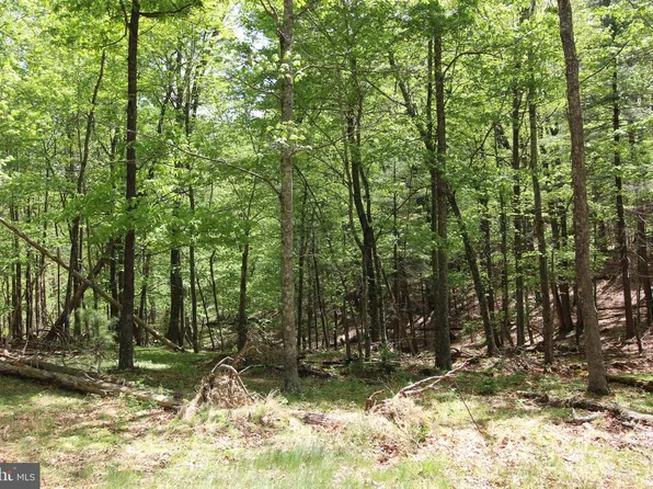 Tanglewood Ln, Orkney Springs, VA 22845