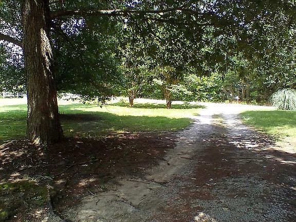 Driveway & Front Yard
