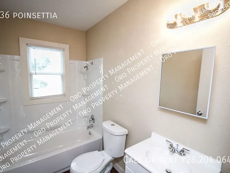 936 Poinsettia — Photo 25