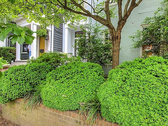 4th image of 2803 E Clay St
