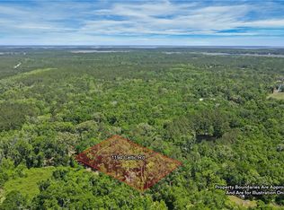 1194 Celtic Rd NE, Townsend, GA 31331