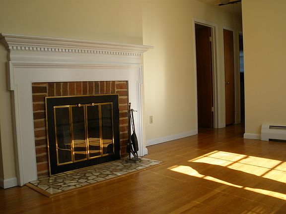 Fireplace in living room.