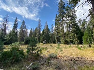 1-M-12 Sisson Dr, McCloud, CA, 96057