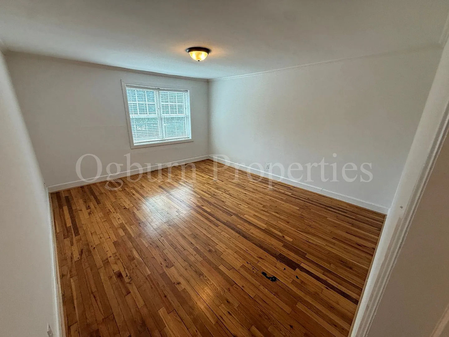 601003- 835, 839, 841 Reynolda Road — Photo 3