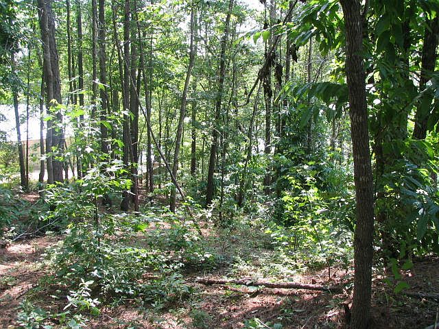 2nd image of 14 Murphy Dam Rd